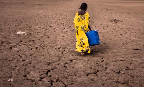 Sécheresse en Ethiopie : deux millions de personnes supplémentaires confrontées à l’insécurité alimentaire depuis septembre - PAM